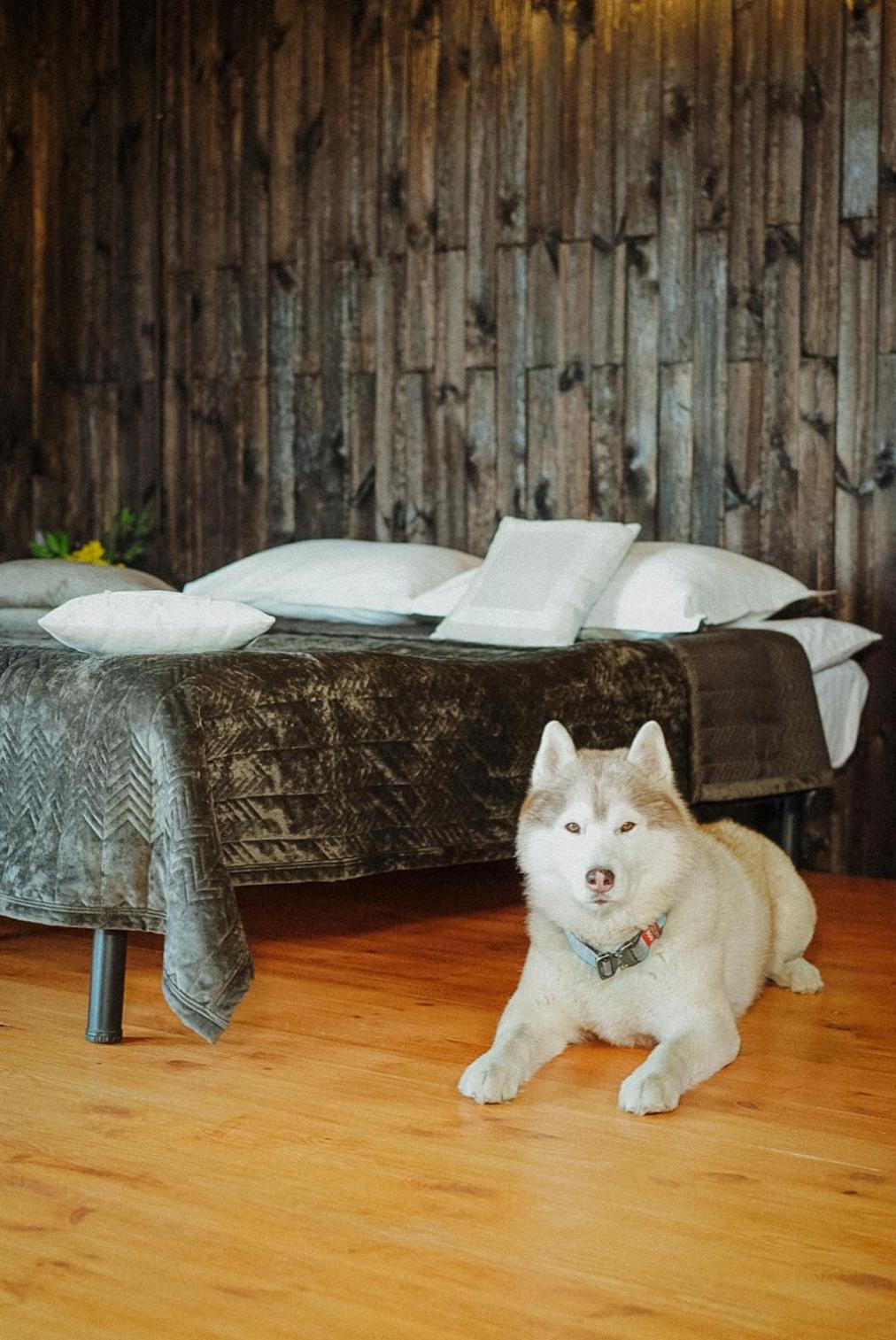 Hotel Долина Хюгге Chornomors'ke  Zewnętrze zdjęcie
